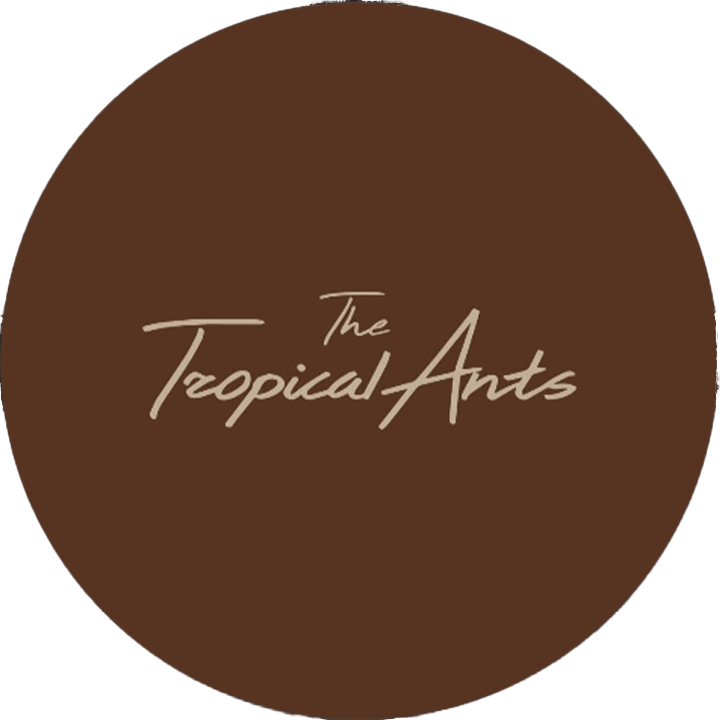 The Tropical Ants logo